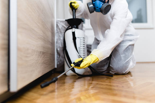 Best Pest Removal Services  in Alamo Heights, TX