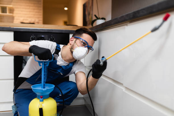  Alamo Heights, TX Pest Control Pros