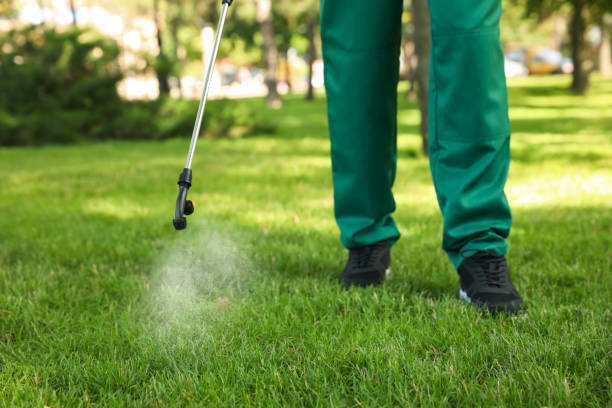 Best Mosquito Control Services  in Alamo Heights, TX