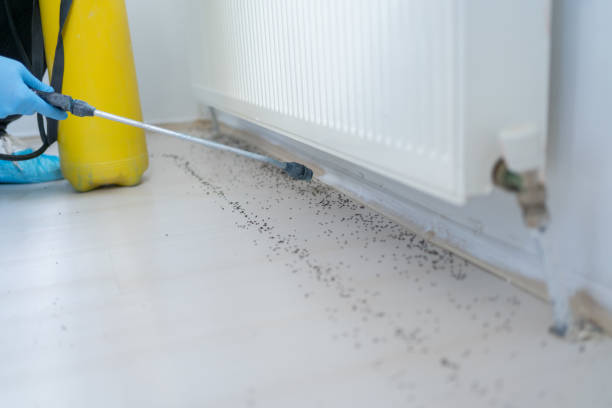 Alamo Heights, TX Pest Control Company